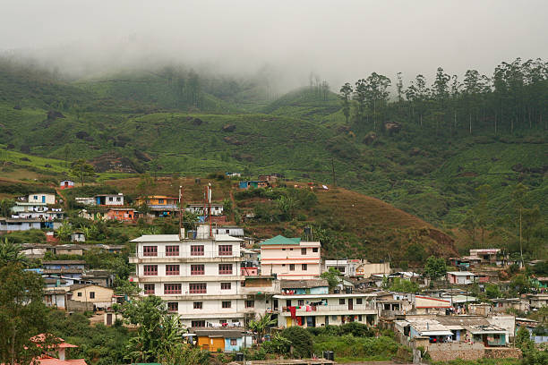 Budget Hotel Stays in Munnar: Your Affordable Escape