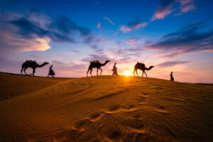 Take a Camel Safari in the Thar Desert