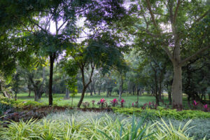 Cubbon park