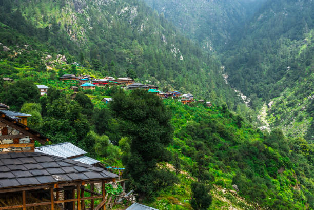 Exploring Budget-Friendly Hotels in Jibhi (Himachal Pradesh).