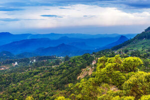 Kasauli: The Quiet Retreat