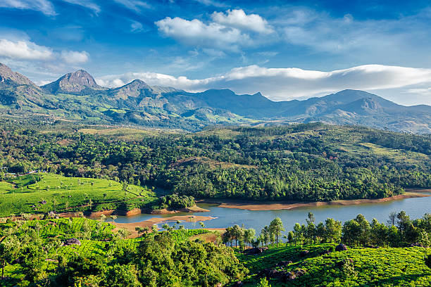 The Best Time to Visit Munnar: A Season-by-Season Guide