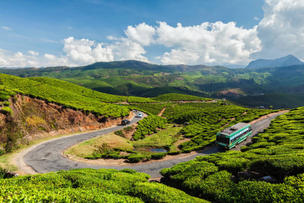 How to Reach Munnar: Your Ultimate Travel Guide