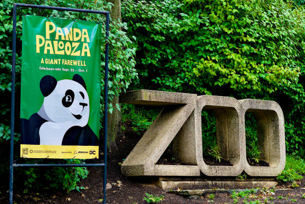 Animals in Delhi Zoo: A Fascinating Wildlife Experience