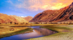 Experience Nubra Valley