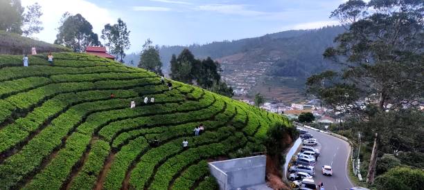 How to Reach Ooty: A Complete Guide for travelers