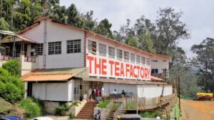 Ooty Tea Factory and Museum