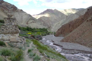 Trek to Markha Valley