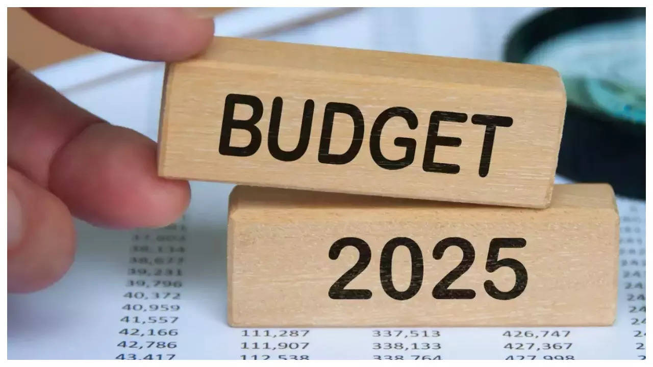 Key Announcements From Budget 2025